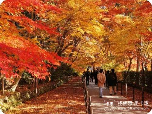 万事达约你去日本赴一场完美的“红叶狩”，刷卡还有优惠呦~